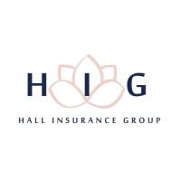 The Hall Insurance Group image 1