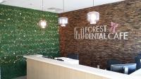 Forest Dental Café image 7