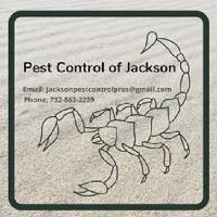 Pest Control of Jackson image 4