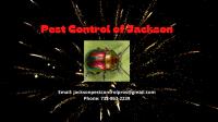 Pest Control of Jackson image 1