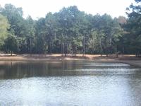 East Texas Land Clearing Pros image 3