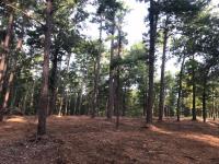East Texas Land Clearing Pros image 2