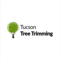 Tucson Tree Trimming image 1
