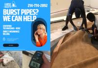 Carpet Cleaning Dallas TX image 11