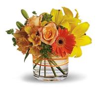 Myrtle Florist & Flower Delivery image 1