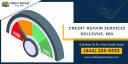 Credit Repair Bellevue WA logo