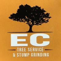  E C Tree Service & Stump Grinding image 1
