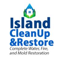Island Cleanup and Restore image 1