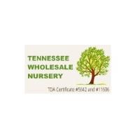 Tennessee Wholesale Nursery (TN Nursery) image 1
