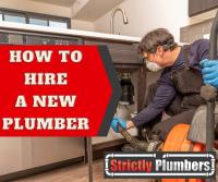 Strictly Plumbers image 3