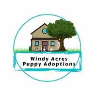 Windy Acres Puppy Adoptions image 1