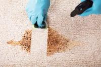Mark it Clean Carpet & Upholstery Cleaning image 3