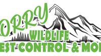 Corry Wildlife, Pest Control, and More LLC image 4