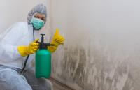 Mold Solutions of Colorado Springs image 1