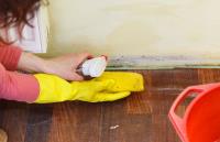 Mold Solutions of Colorado Springs image 3