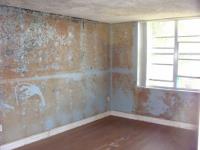 A Accredited Mold Inspection Service, Inc. image 3