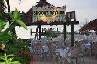 Snook's Bayside Restaurant & Grand Tiki image 3
