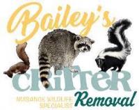 Bailey’s Critter Removal image 2