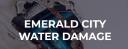 Emerald City Water Damage logo