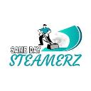 Same Day Steamerz logo