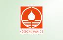 CODAN USA logo