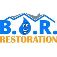 Best Option Restoration (B.O.R.) of Thornton image 1