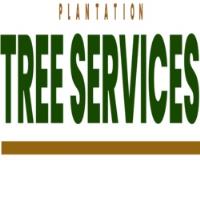 Fort Lauderdale Tree Service image 1