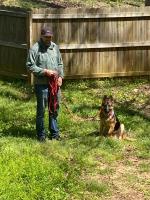 All About Dogs Obedience Training image 4
