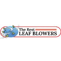 The Best Leaf Blowers image 1