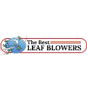 The Best Leaf Blowers logo