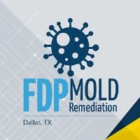 FDP Mold Remediation of Dallas image 1