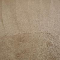 Carpet Cleaning Ypsilanti image 4