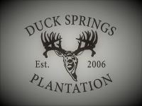 Duck Springs Plantation LLC image 1