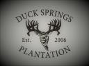 Duck Springs Plantation LLC logo