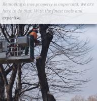 Tree Service Provo image 2