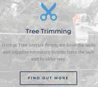 Tree Service Provo image 4