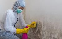 Mold Experts of Tucson image 1