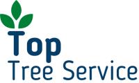 Top Tree Service Harrisonburg image 1