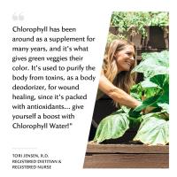 Chlorophyll Water image 4