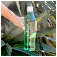 Chlorophyll Water image 7