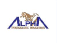 Alpha Pressure Washing image 1