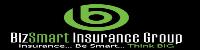 Bizsmart Insurance Group image 1