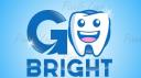 GO BRIGHT, LLC  logo