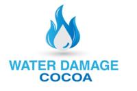 Water Damage Cocoa image 1