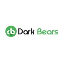 Dark Bears Web Solutions image 1