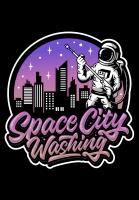 Space City Washing  image 15