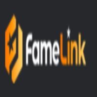 FameLink image 1