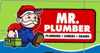 Mr. Plumber by Metzler & Hallam image 4