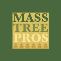Mass Tree Pros image 4