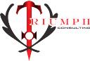 Triumph Consulting Corp. logo